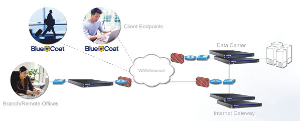 Estructura Blue Coat