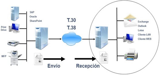 Servidores OpenText